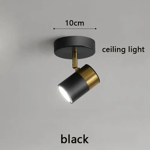 FlexTrack Spotlight System