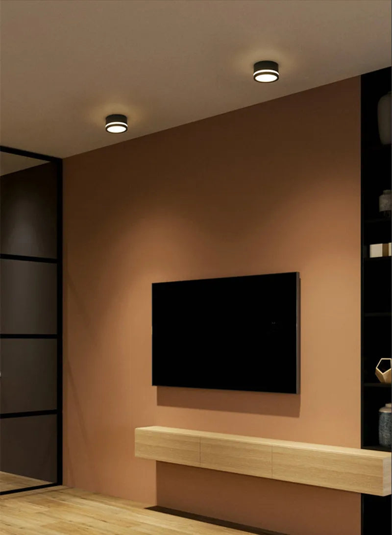 RoundSpot LED Downlight