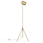 Contemporary Brass Tripod Floor Lamp