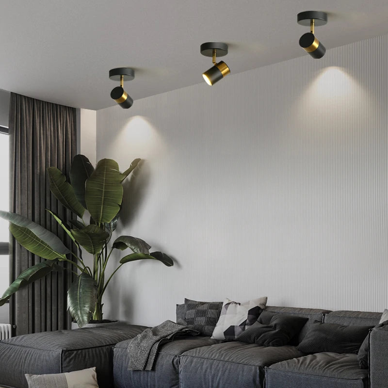 FlexTrack Spotlight System