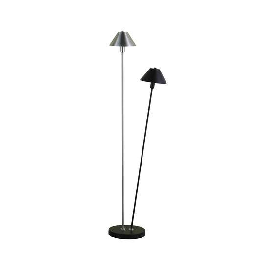 Novelty Two-Light LED Floor Lamp