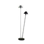 Novelty Two-Light LED Floor Lamp