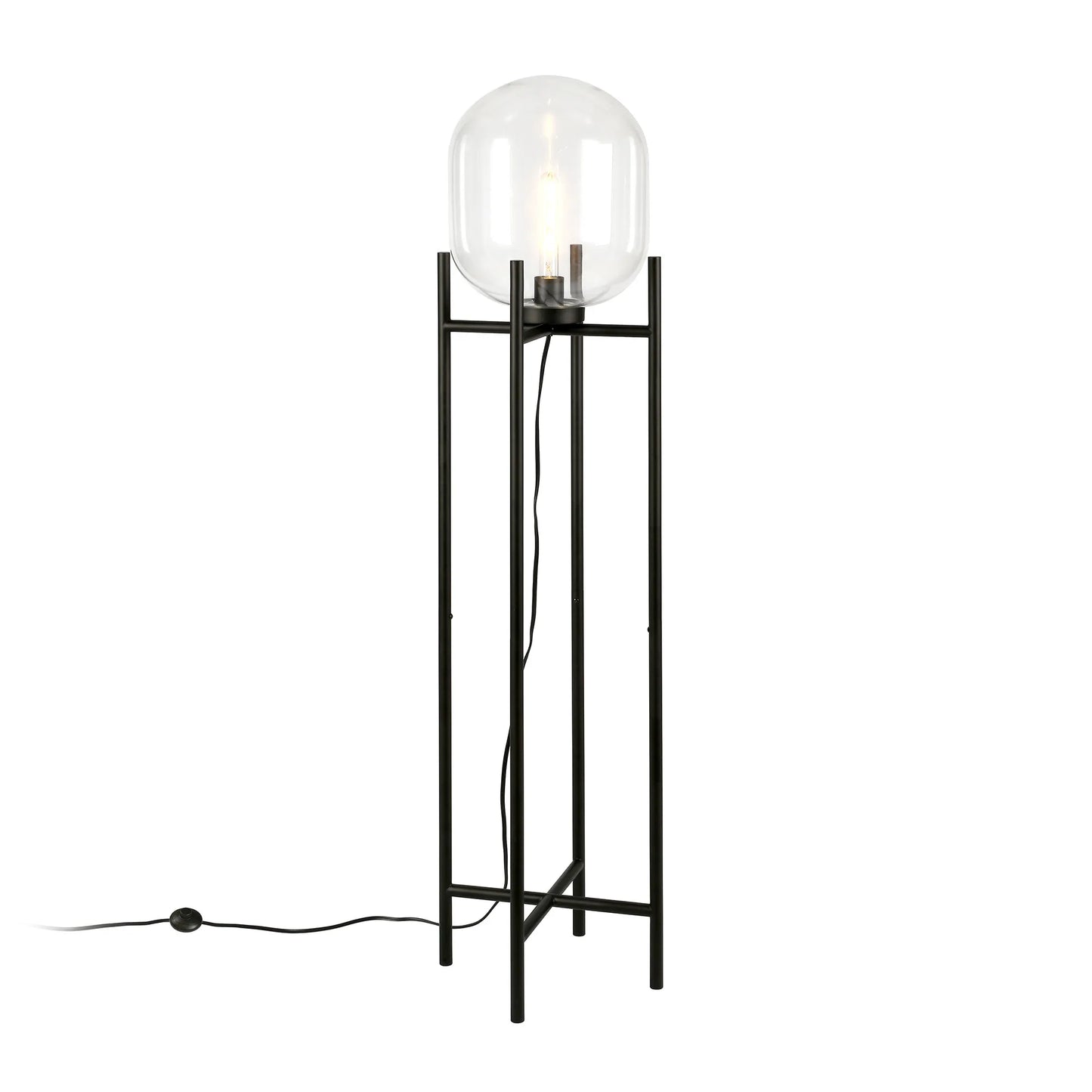 Black Transparent Globe Floor Lamp