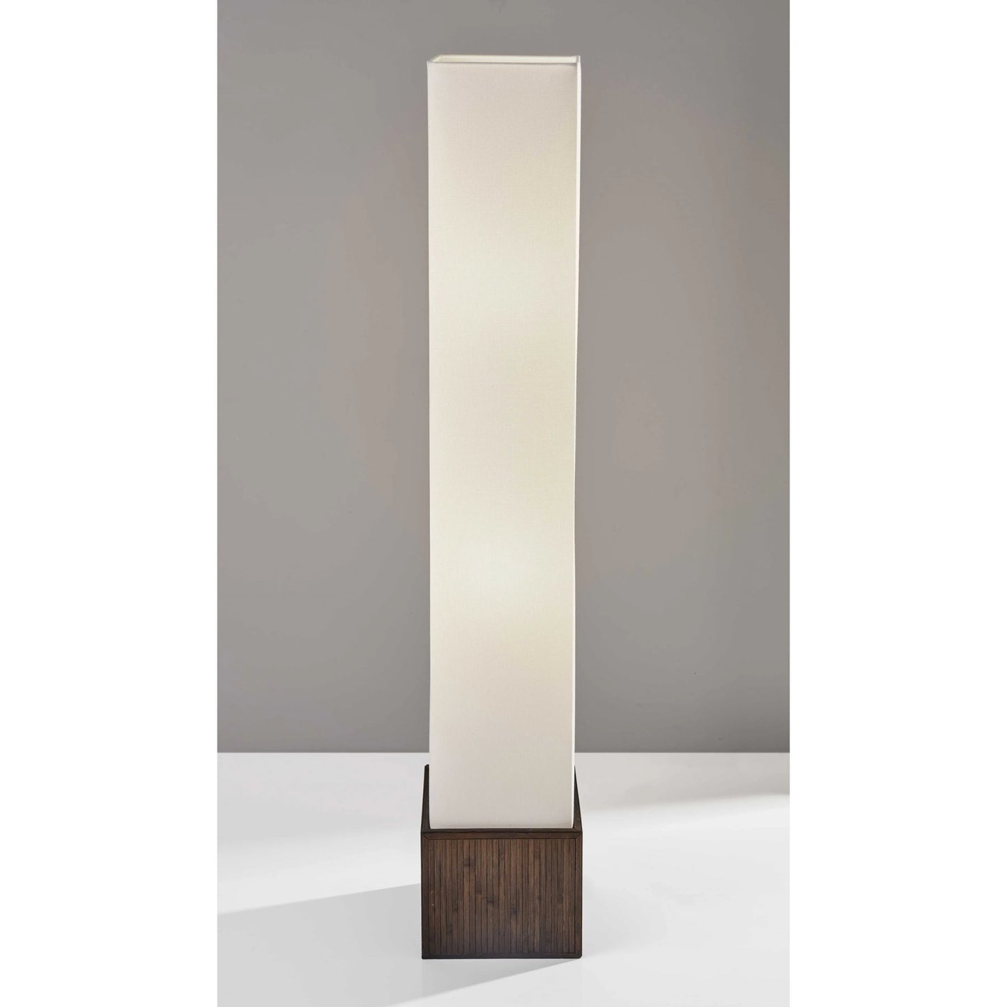 Black Dome LED Floor Lamp