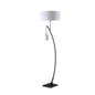Matte Black Dual Arc Floor Lamp
