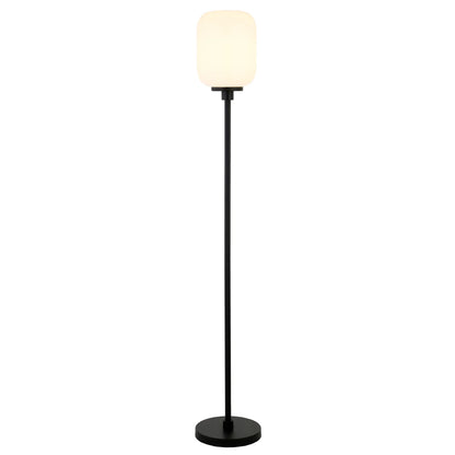Black LED Floor Lamp with Globe Shade