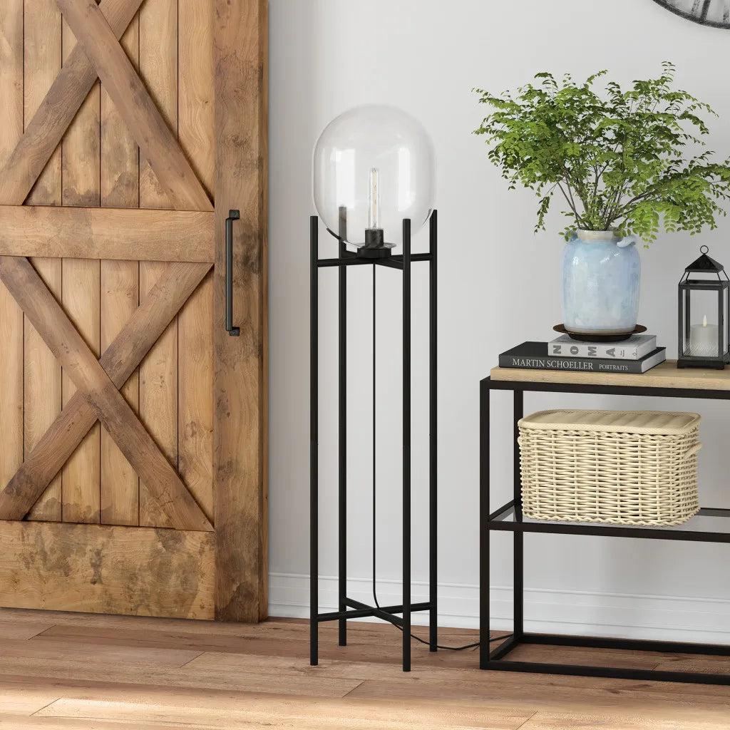 Black Transparent Globe Floor Lamp