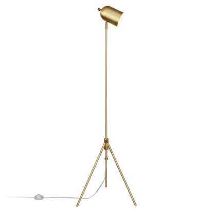 Contemporary Brass Tripod Floor Lamp