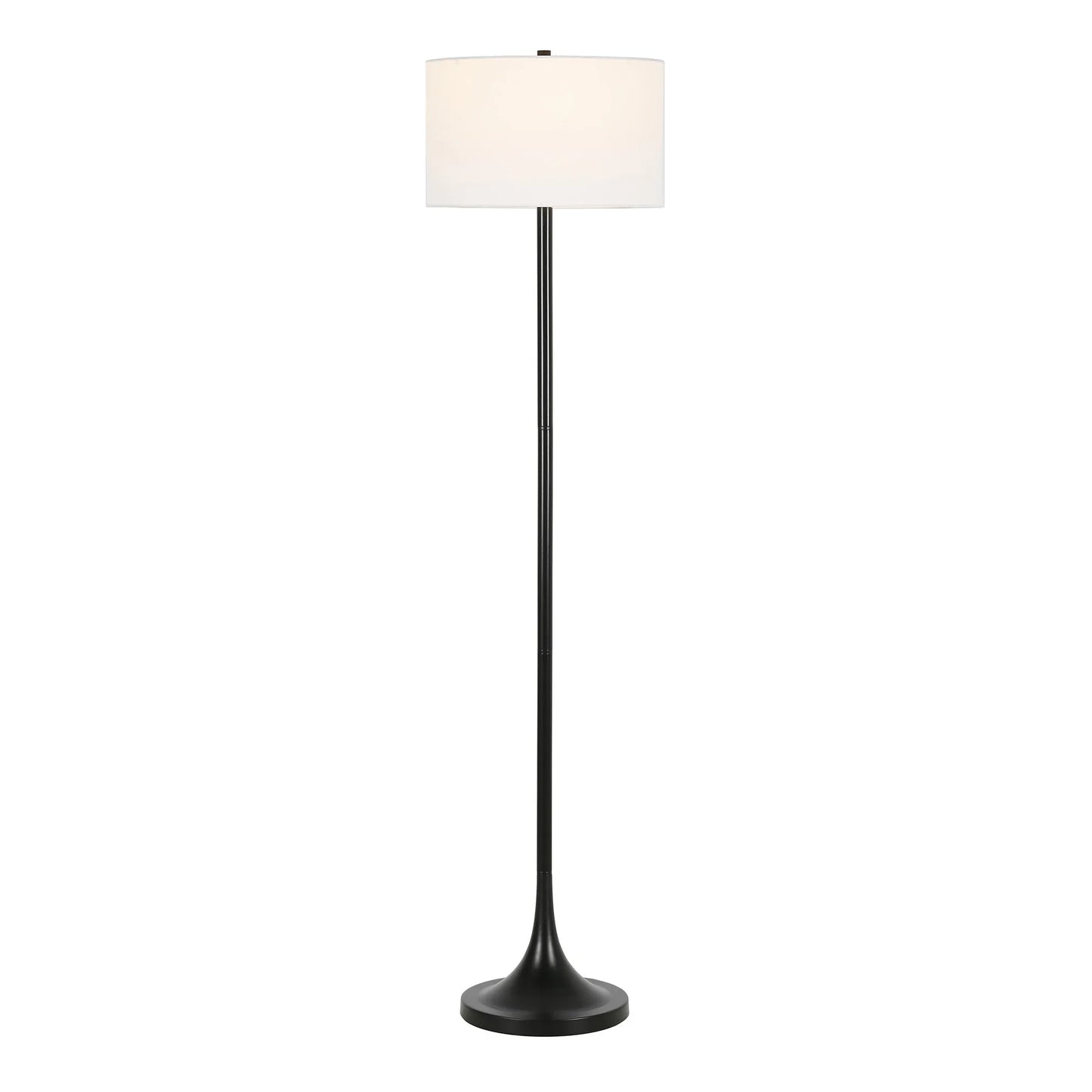 Black Floor Lamp with Stainless Steel Body