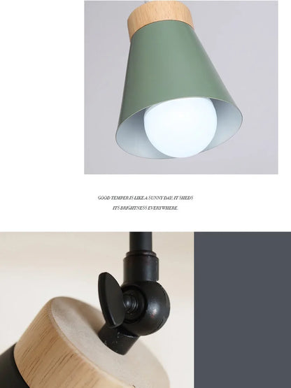 Nordic ColorFlex Adjustable Rail Light Fixture