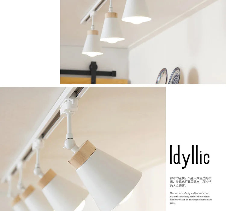 Nordic ColorFlex Adjustable Rail Light Fixture