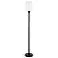 Black LED Floor Lamp with Globe Shade