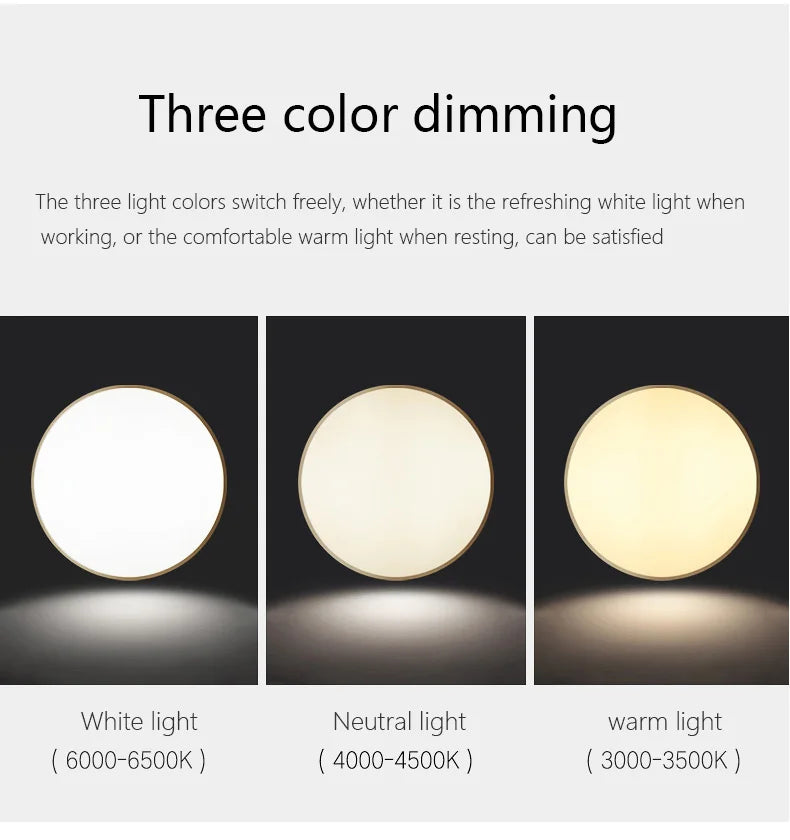 Nordic Copper LED Round Ceiling Light