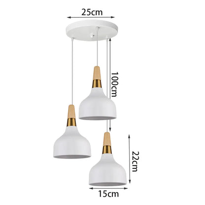 SIKEBOTE Modern Metal Pendant Lights