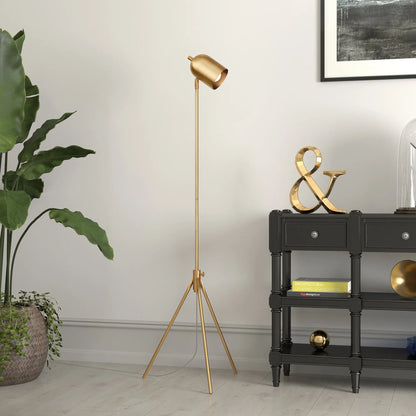 Contemporary Brass Tripod Floor Lamp