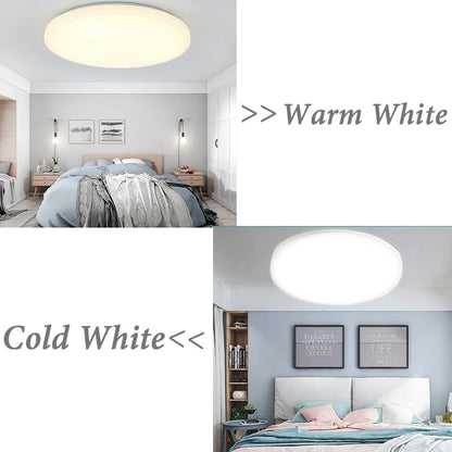 LED Ceiling Lamp 220V Ultra Thin Ceiling Lighting Fixture