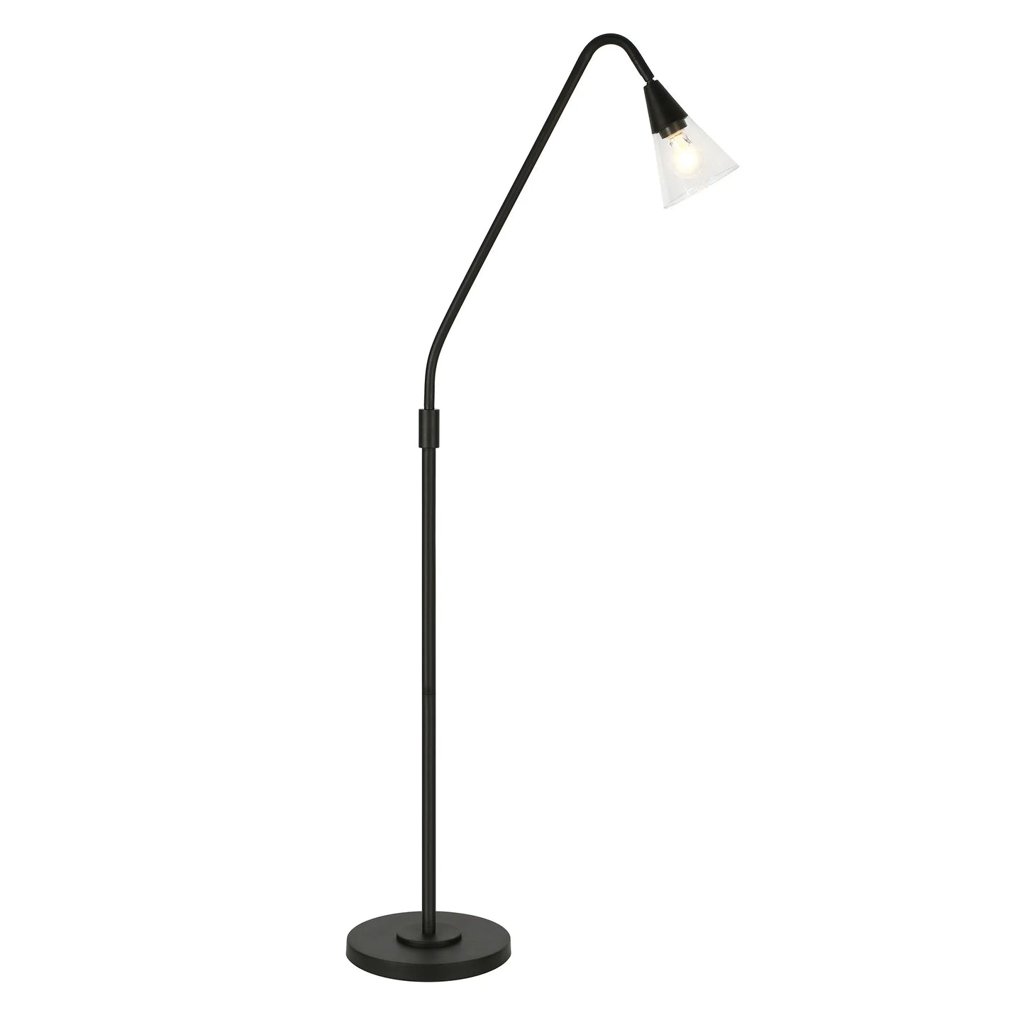 Black LED Floor Lamp with Glass Dome Shade
