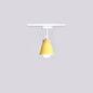 Nordic ColorFlex Adjustable Rail Light Fixture