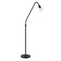 Black LED Floor Lamp with Glass Dome Shade