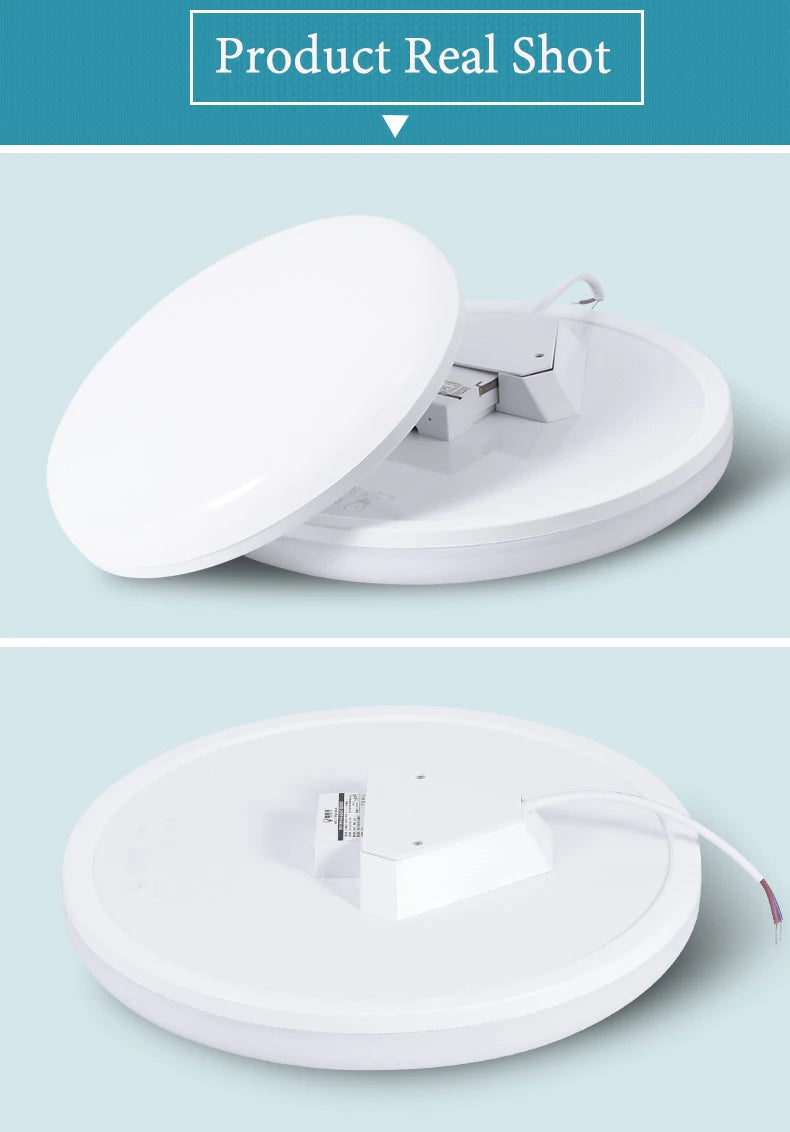 LED Ceiling Lamp 220V Ultra Thin Ceiling Lighting Fixture