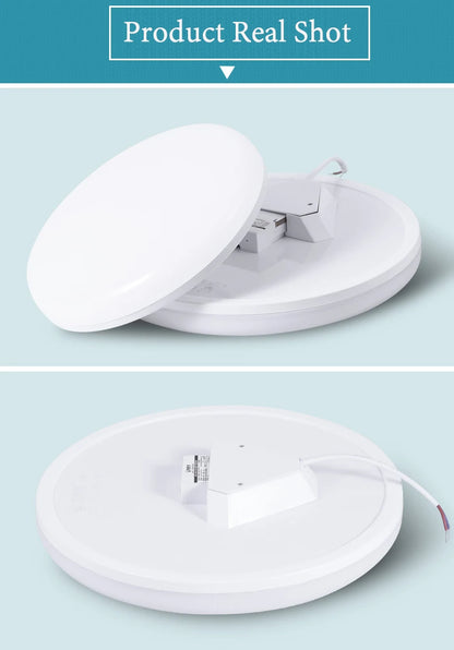 LED Ceiling Lamp 220V Ultra Thin Ceiling Lighting Fixture