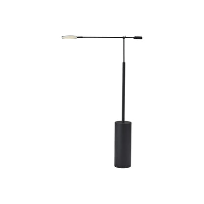 Black Swing Arm Floor Lamp with Light-Changing Feature