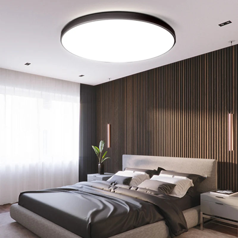 LED Ceiling Lamp 220V Ultra Thin Ceiling Lighting Fixture