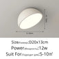 RoundLED Ceiling Lights