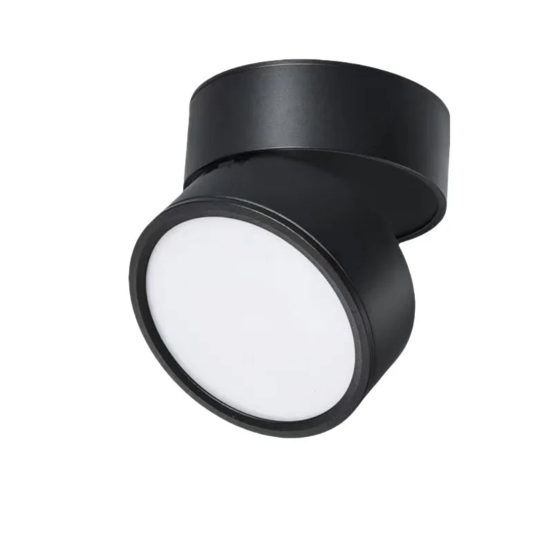 Rotatable Slim Surface Downlight
