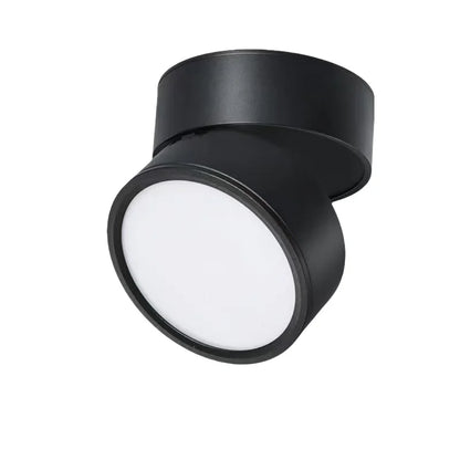 Rotatable Slim Surface Downlight