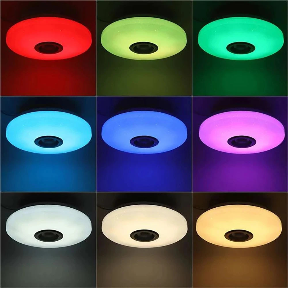 Smart Dimmable LED Round Ceiling Light Fixture