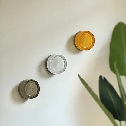 Jelly Acrylic Wall Sconce