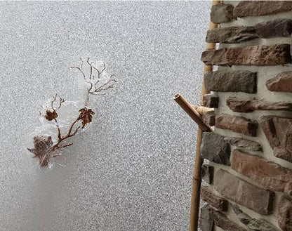 Leafy Glow Wall Sconce