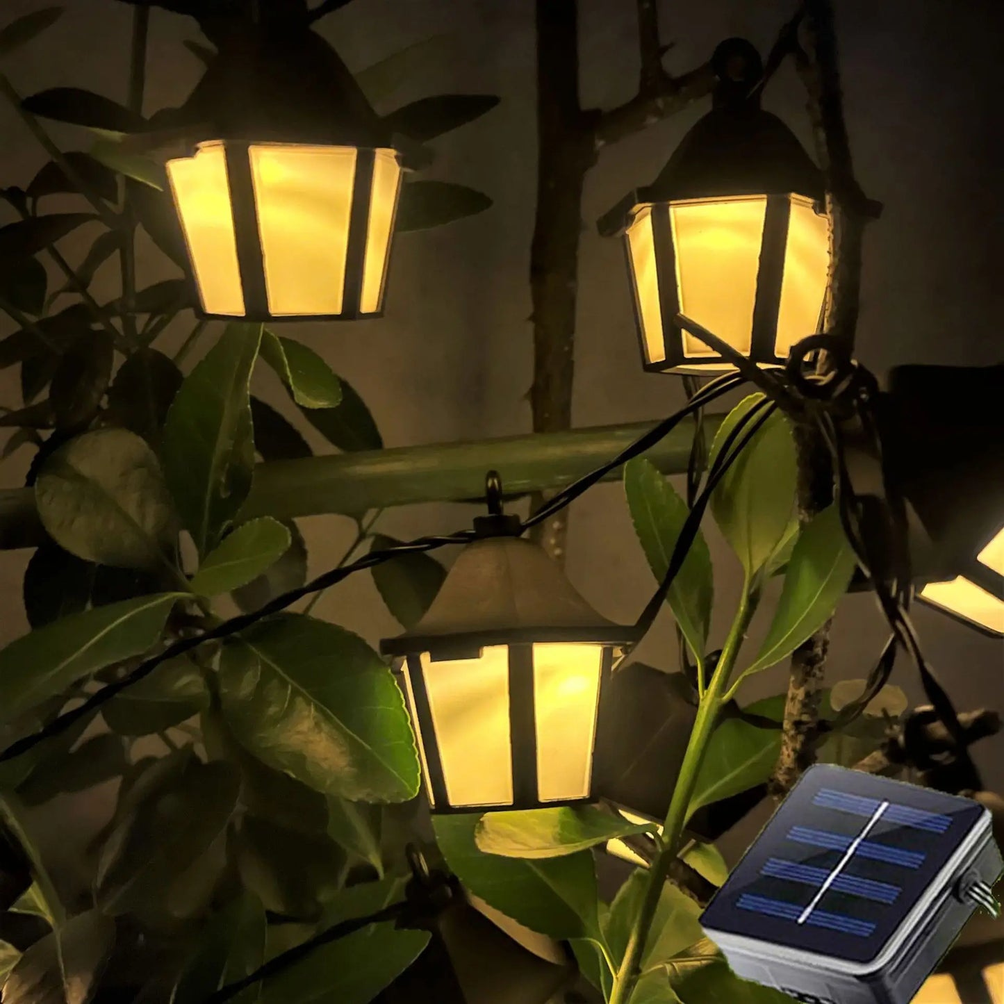 Sunset Glow Solar Lights