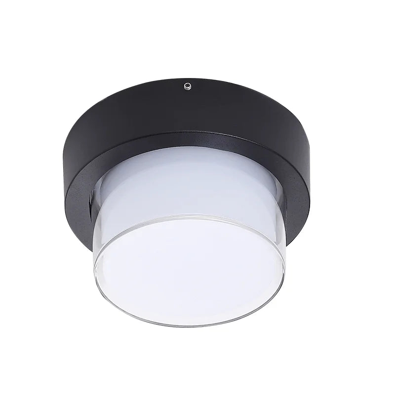 HydroLite Outdoor Ceiling Light