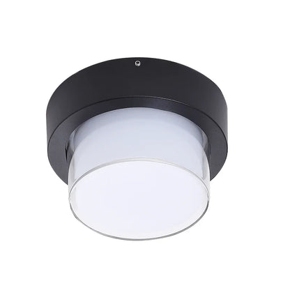 HydroLite Outdoor Ceiling Light