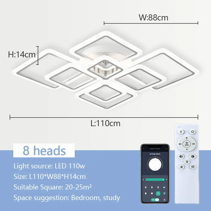 Multi-Head LED Ceiling Light