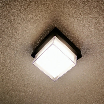 HydroLite Outdoor Ceiling Light