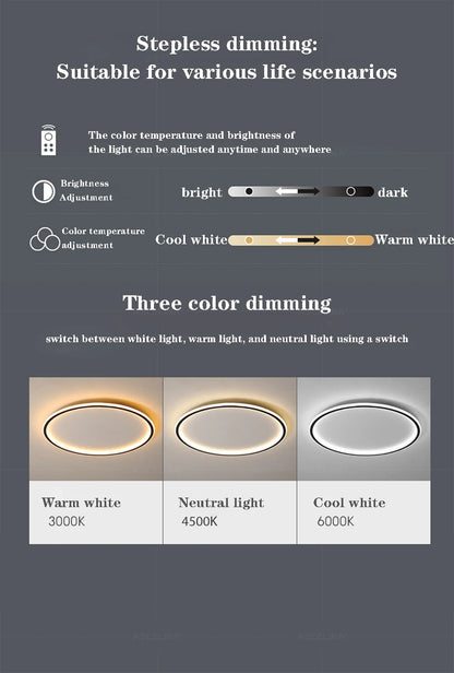 SmartGlow 30CM Ceiling Light