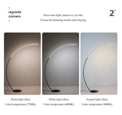 Nordic LED Corner Light Arc RGB Floor Lamps