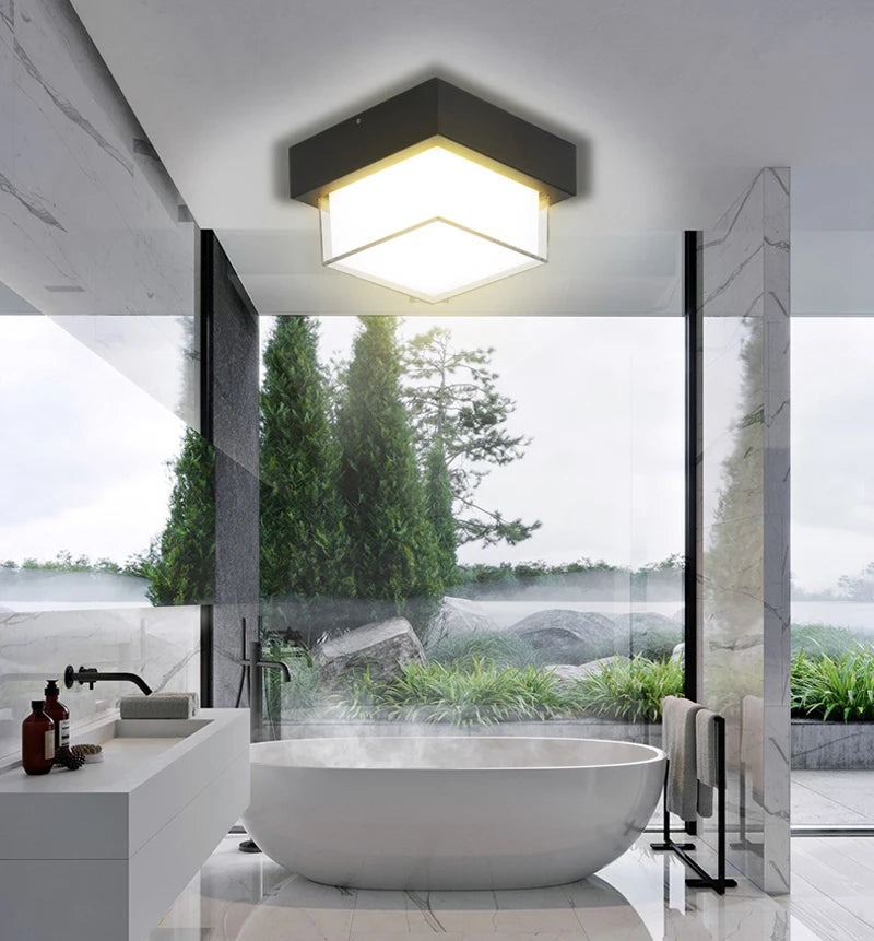 HydroLite Outdoor Ceiling Light