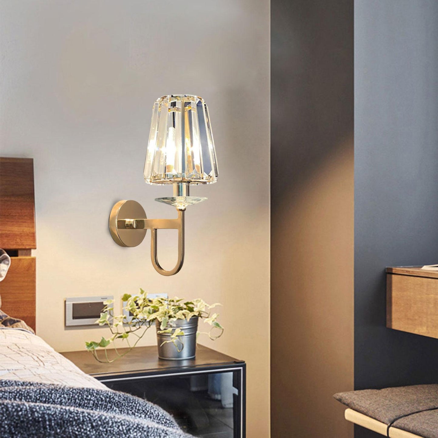 Modern Plug-in Wall Sconce Light Fixture