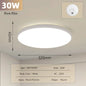 LED Ceiling Lamp 220V Ultra Thin Ceiling Lighting Fixture