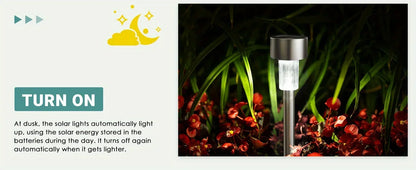 Sunlit Pathway Lights