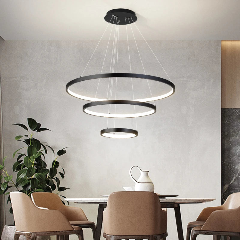 Iron Ring Ceiling Chandelier