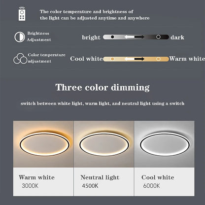 SmartGlow 30CM Ceiling Light