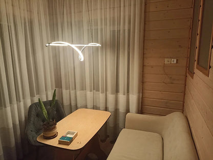 Modern Dining Room Lamps LED Pendant Lights Home Decoration