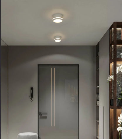 RoundSpot LED Downlight