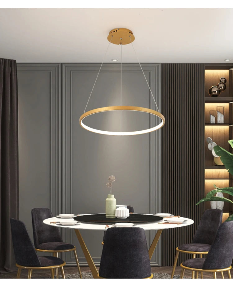 Iron Ring Ceiling Chandelier