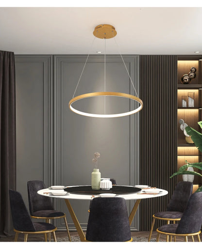 Iron Ring Ceiling Chandelier